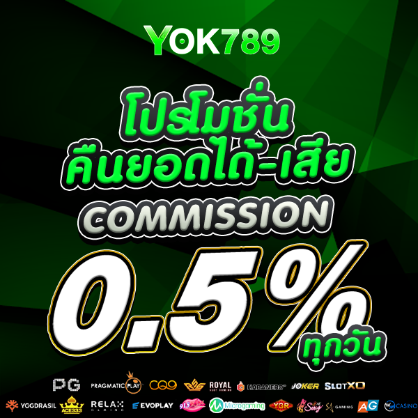 โปรโมชั่น VIP